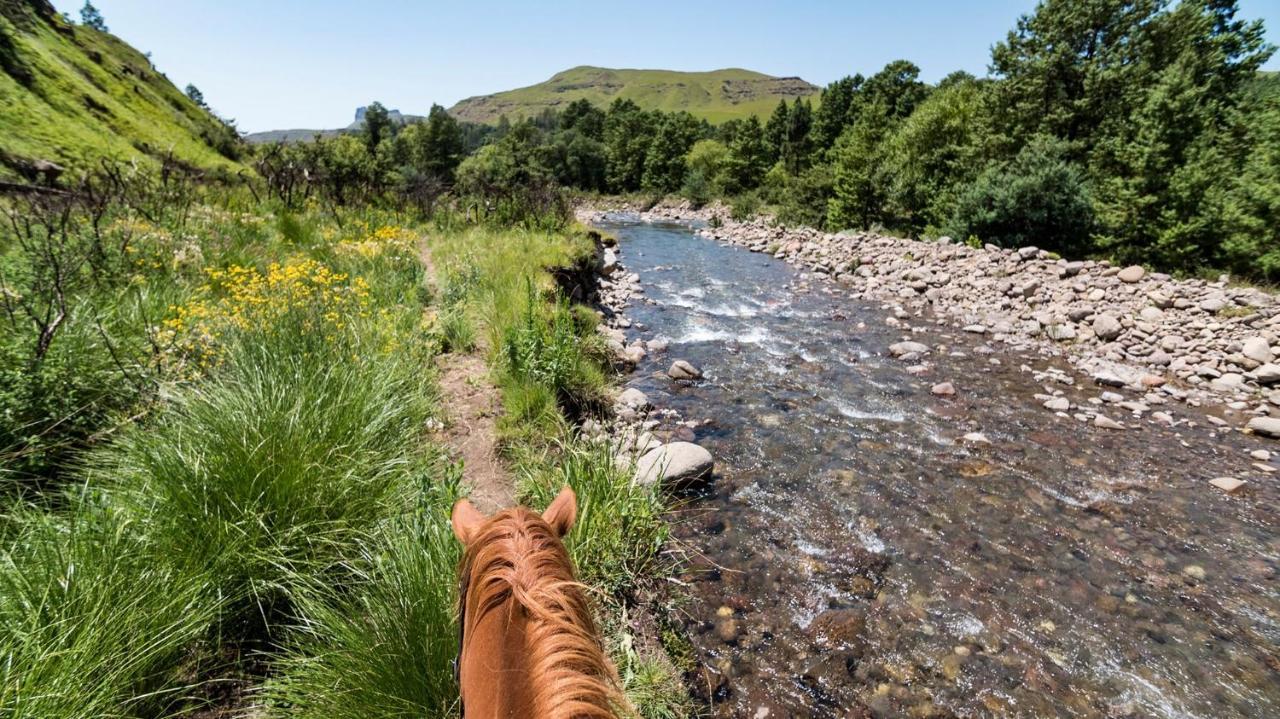 Gooderson Leisure Riverbend Chalets Self Catering And Timeshare Gold Crown Resort Drakensberg Eksteriør billede